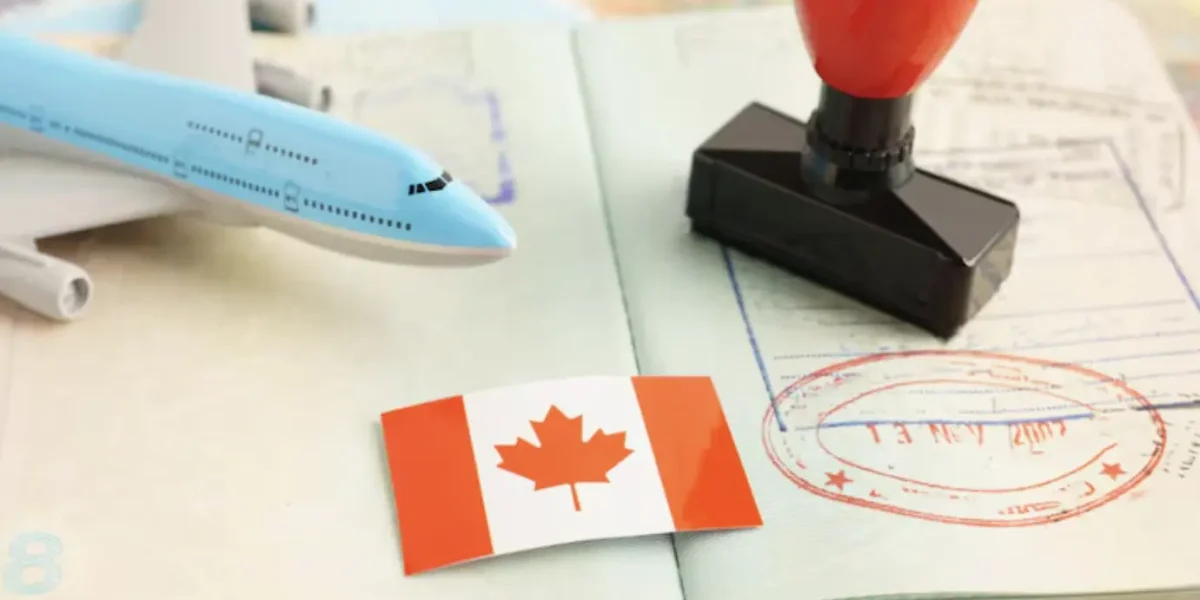 wes translation requirements